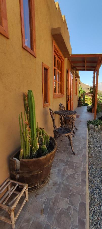 Casa Jardin De Hadas Con Vista Panoramica Pisco Elqui Eksteriør bilde