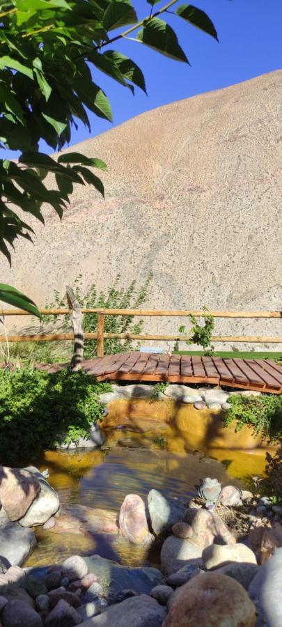 Casa Jardin De Hadas Con Vista Panoramica Pisco Elqui Eksteriør bilde