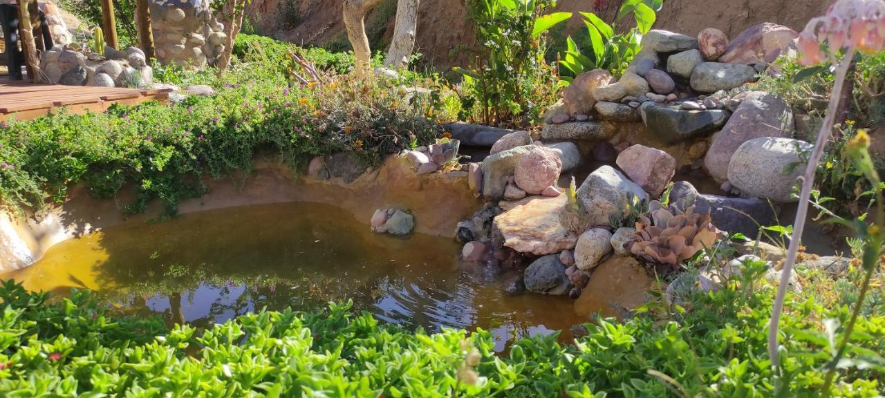 Casa Jardin De Hadas Con Vista Panoramica Pisco Elqui Eksteriør bilde