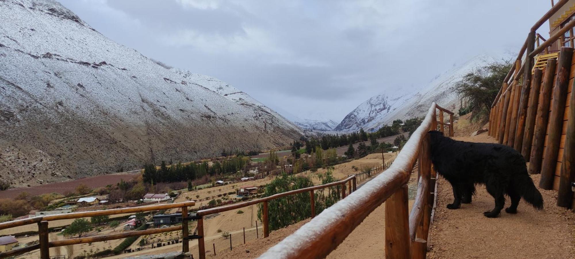 Casa Jardin De Hadas Con Vista Panoramica Pisco Elqui Eksteriør bilde
